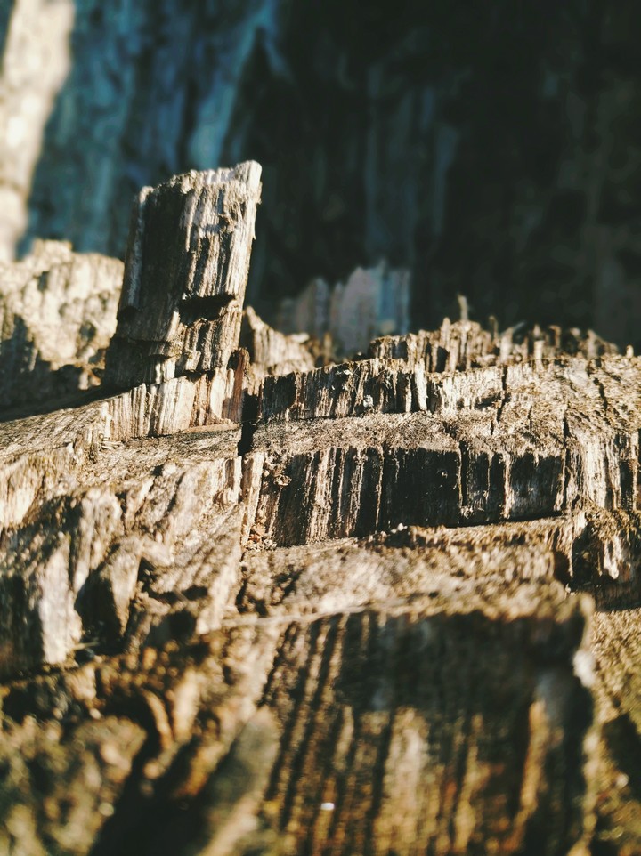 nature