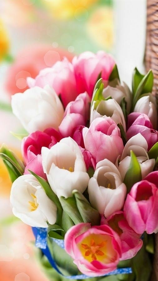 Flores?