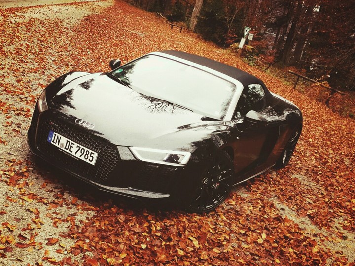 audi r8