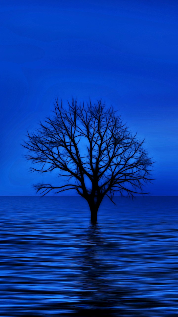 Tree In The Dark