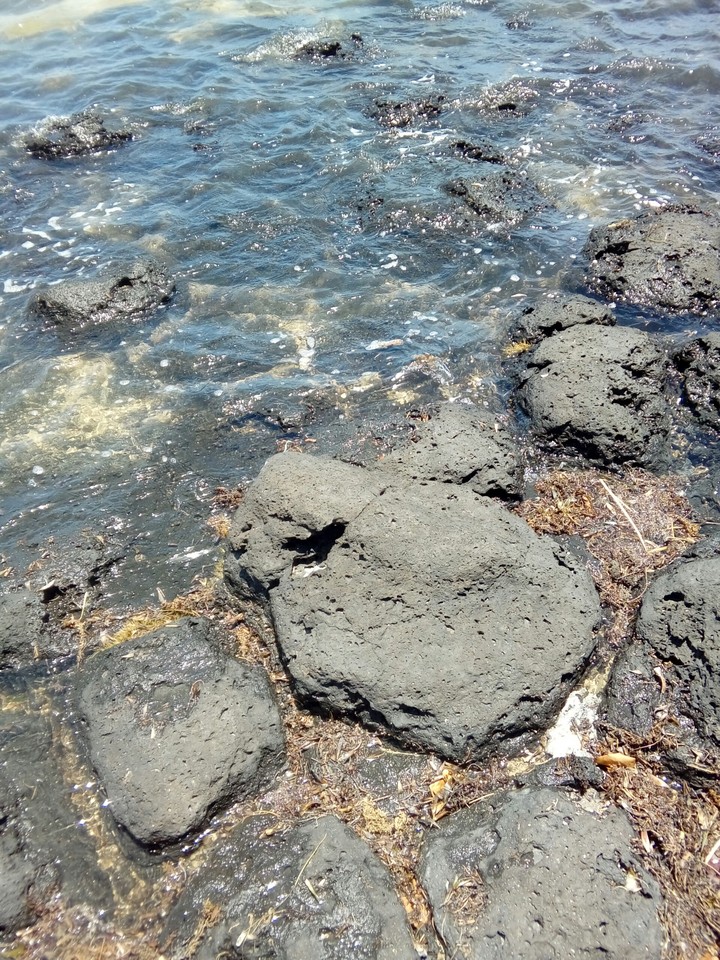 Sea