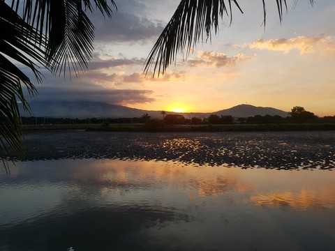 sunset