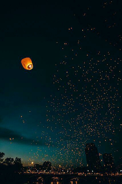 El festival de la noche