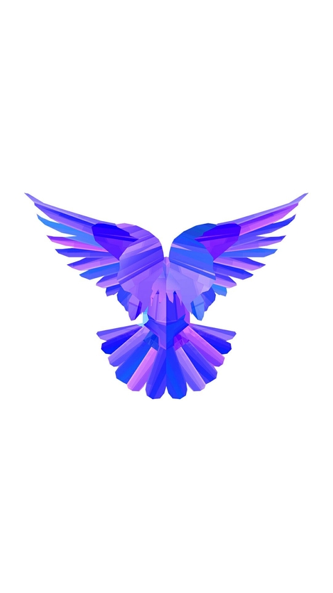 fly