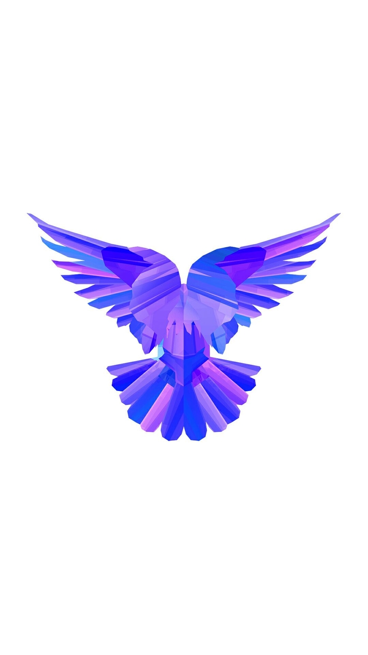 fly