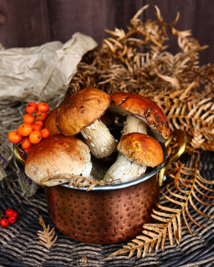 mushrooms