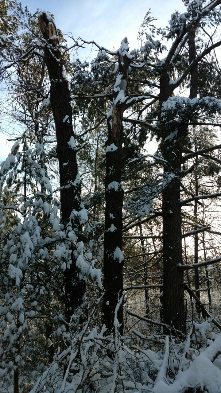 Lake Wazee Park