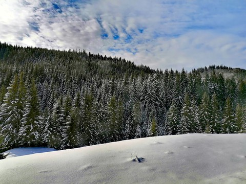 Winter