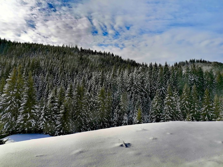 Winter