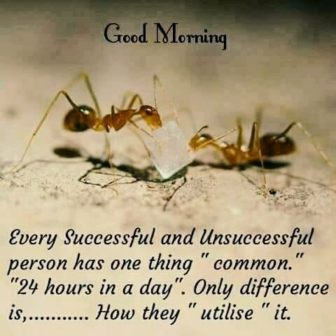Way To Success