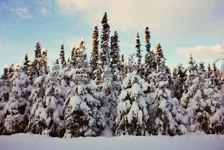 Winter is everywhere! ❄️