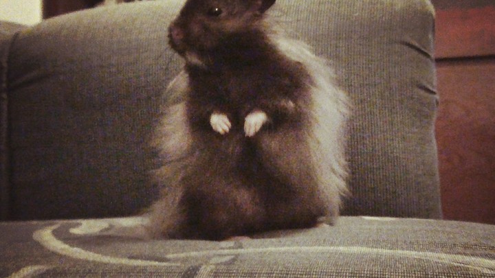 ☺