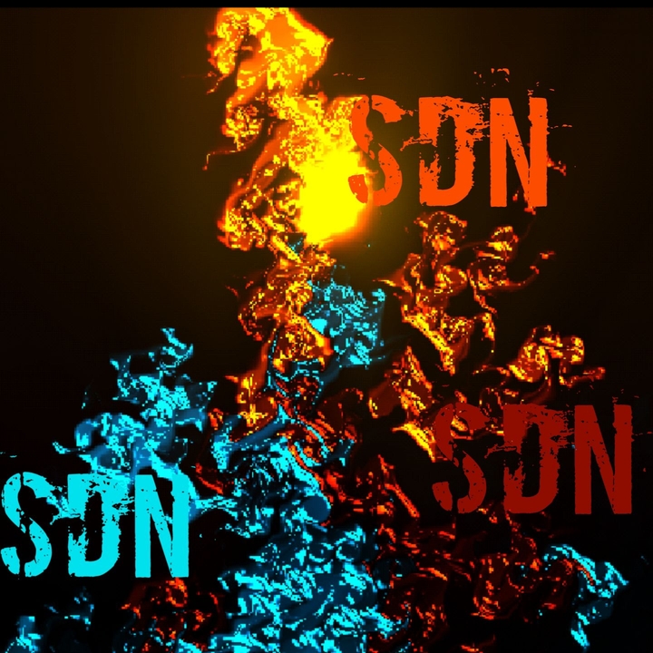 SDN FIRE