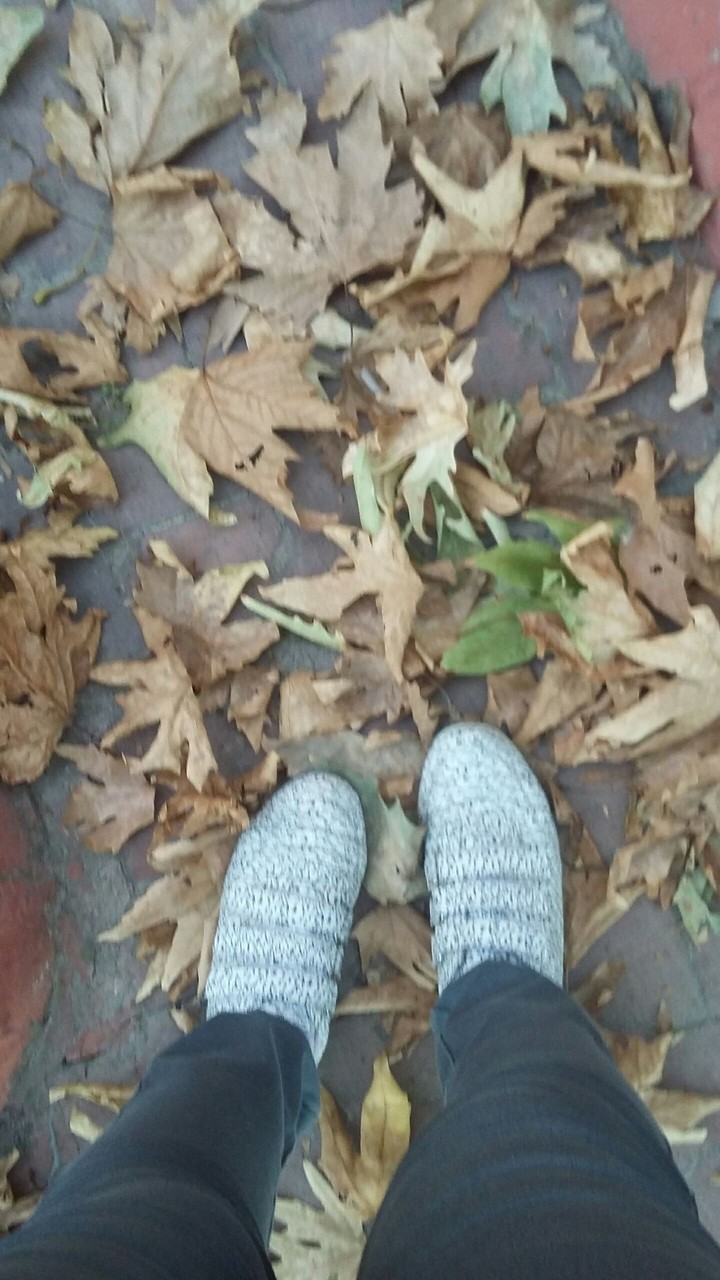 ME ✨