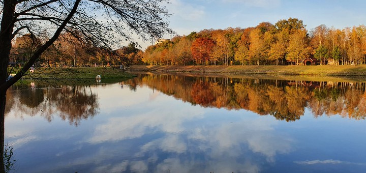 Autumn colors