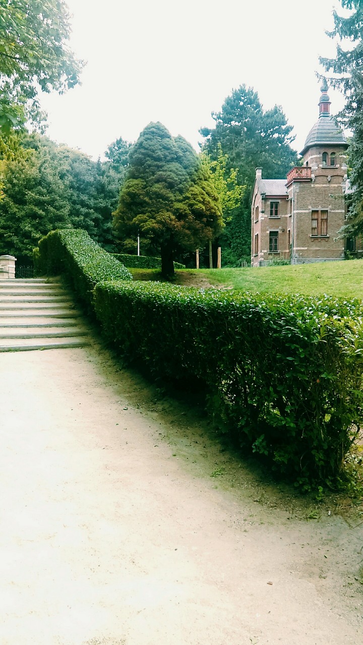 little green