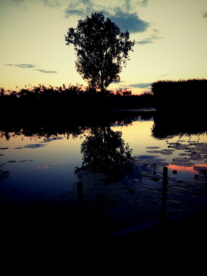 Summer nights