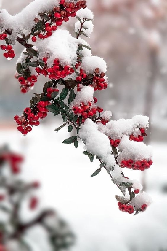 winter