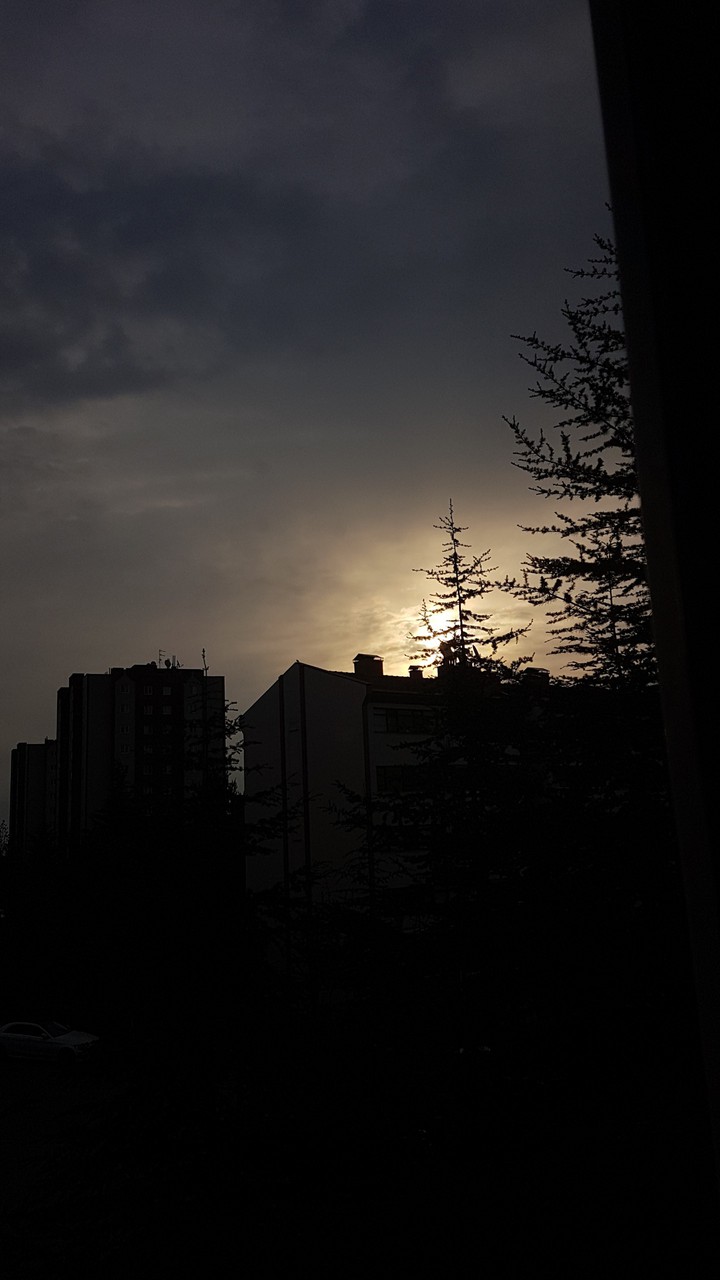 morning