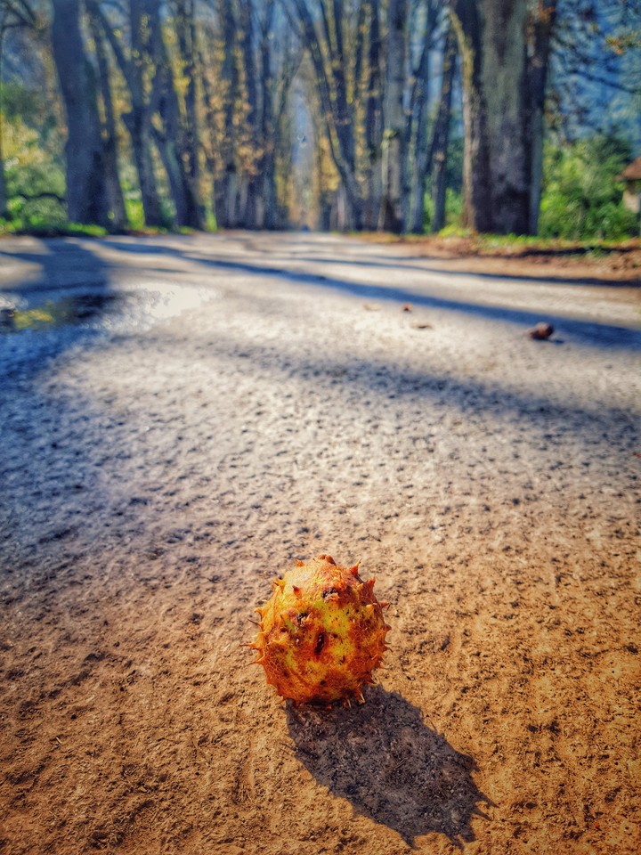 Nature