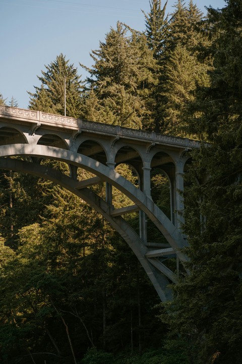 Bridge, forest वॉलपेपर