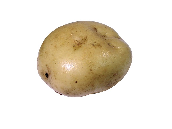 음식이미지