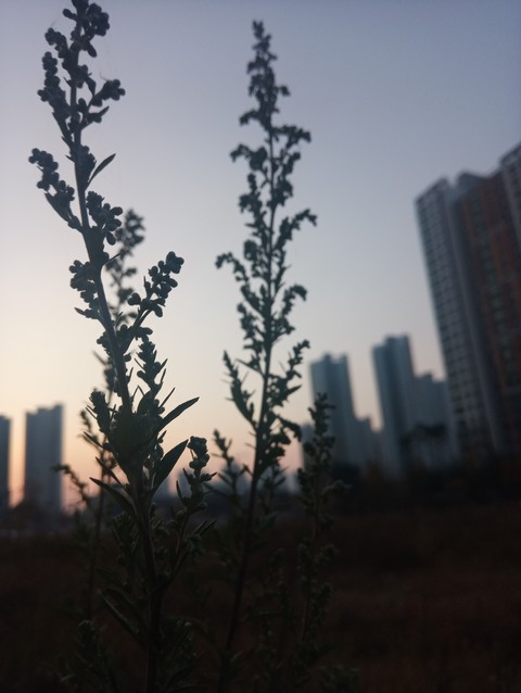 초저녁