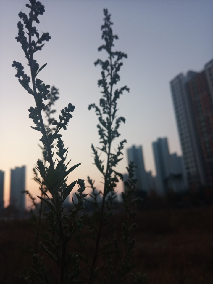초저녁