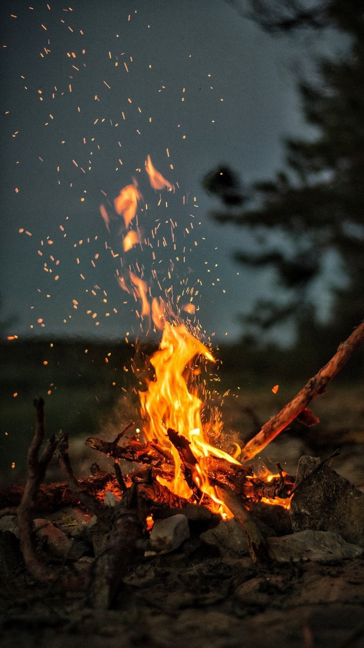 Fire ✨
