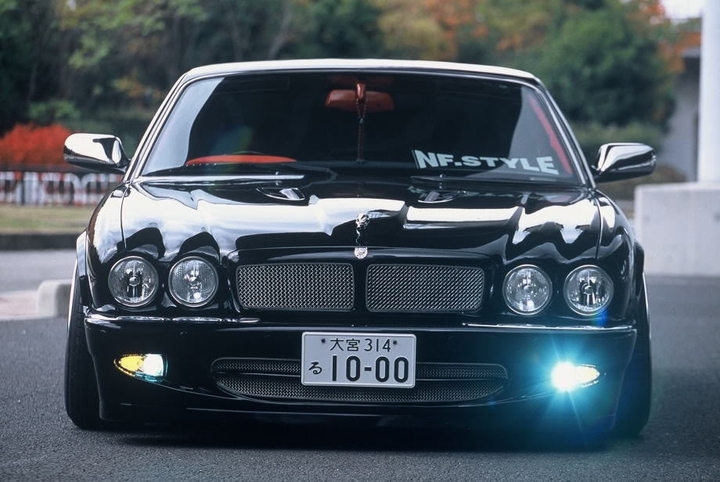 jaguar