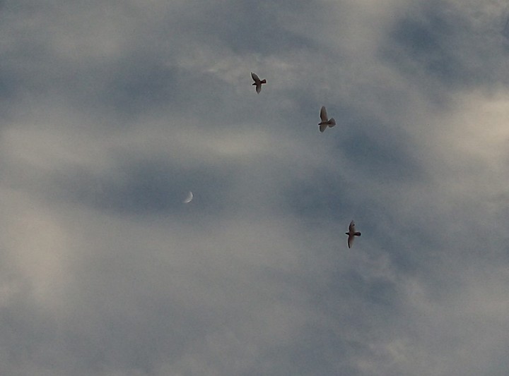 sky