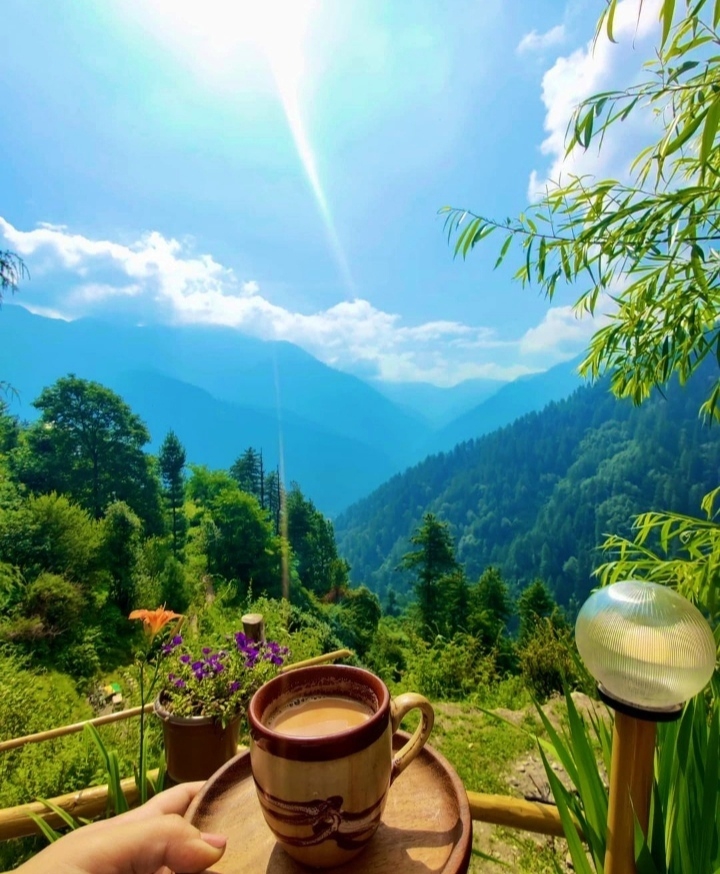 Good morning
