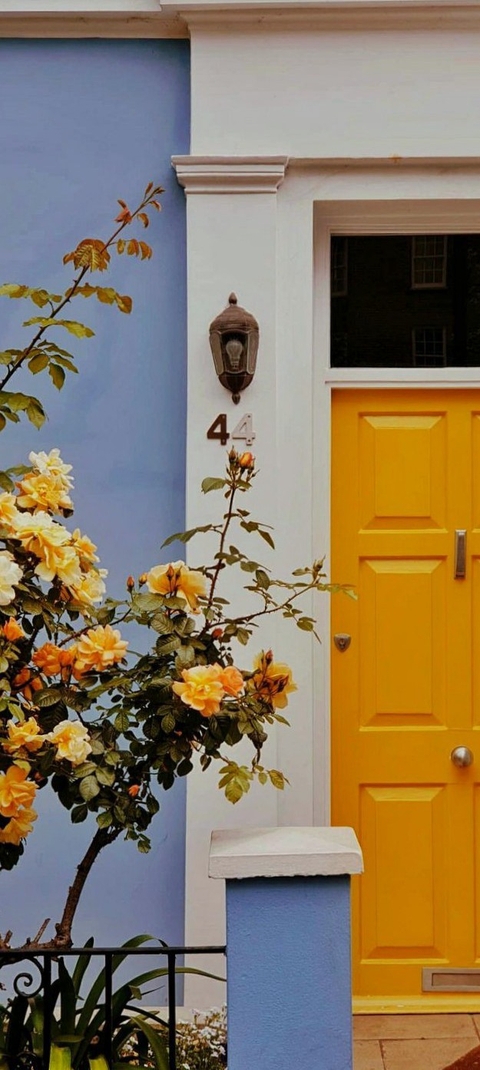 hình nền Bush, Door