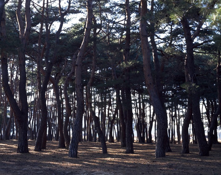 동양이미지