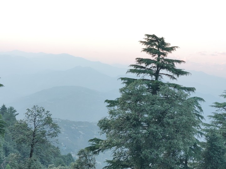 nature