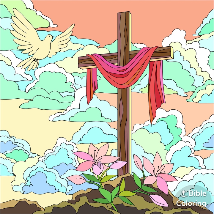 Cruz