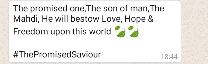 thePromisedSaviour