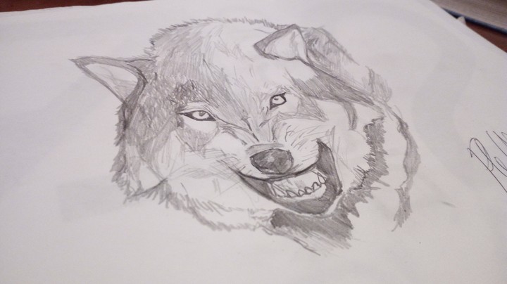 Wolf draw by me
