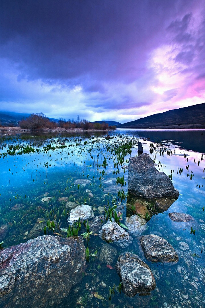 Water Surface