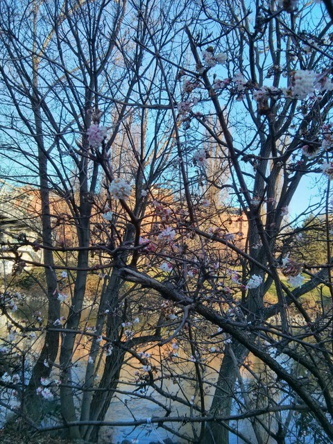Nature