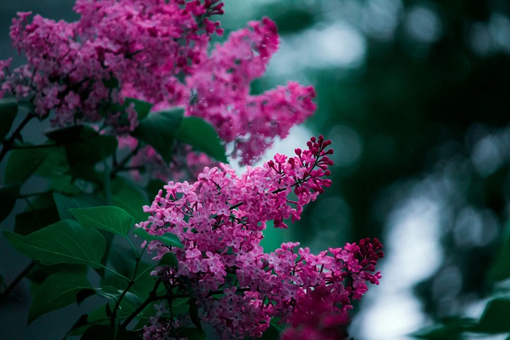 May