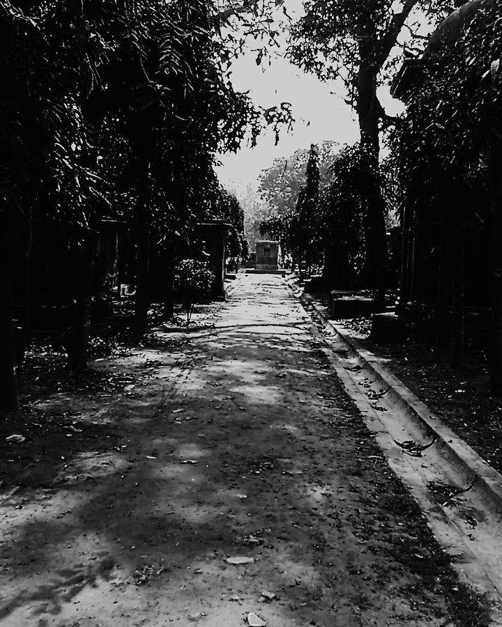 darkness of cemetery