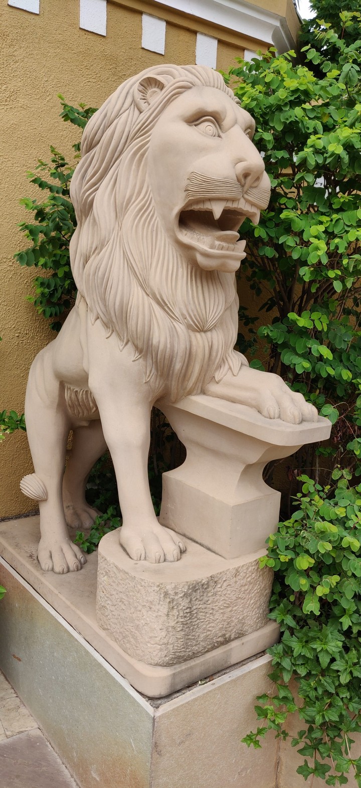 Khirasara Lion
