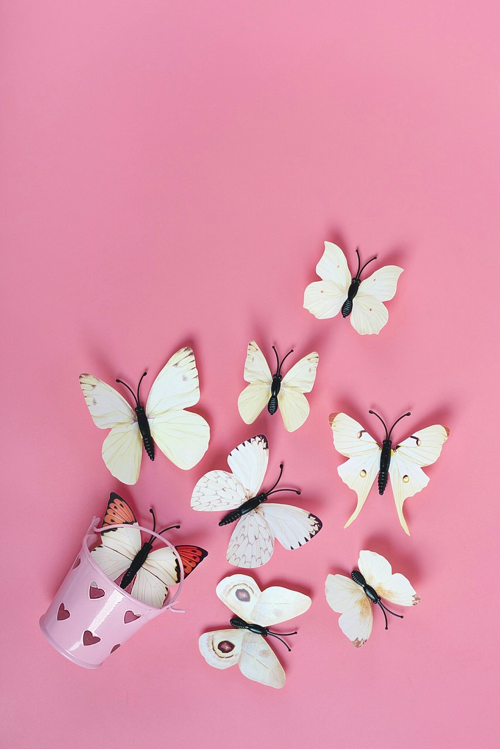 Butterflies