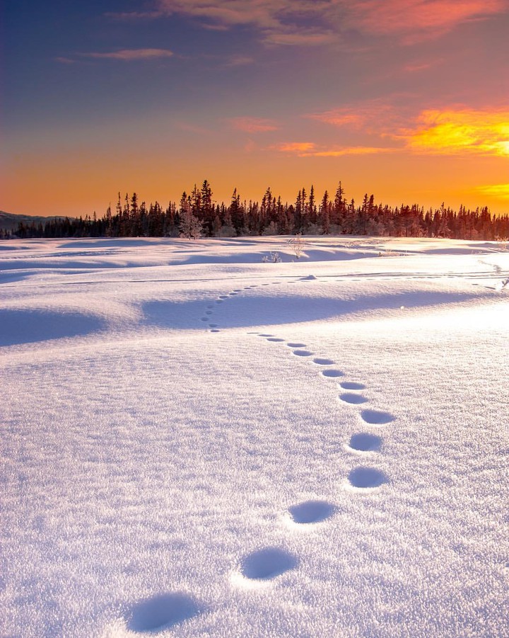 Footprints in the snow