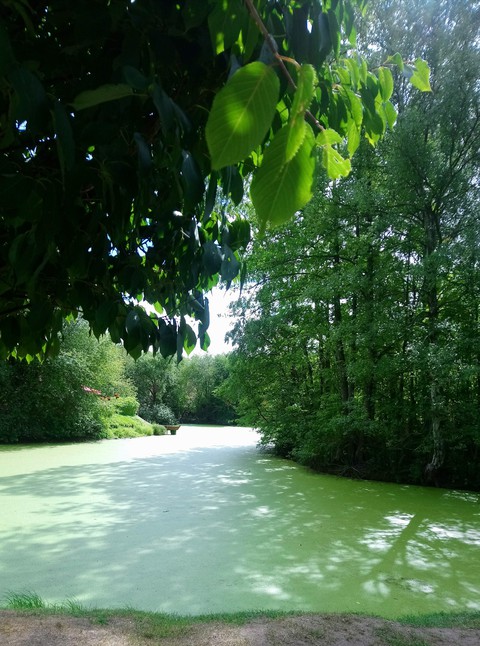 Green wather