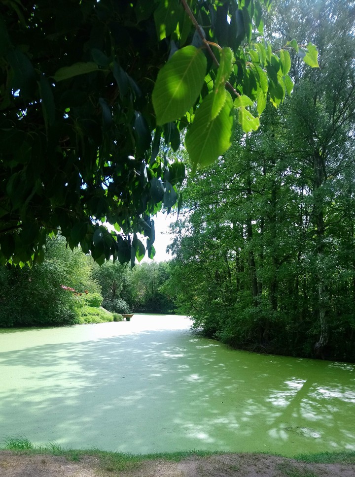 Green wather