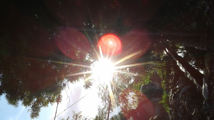 sunlight. ⛅
