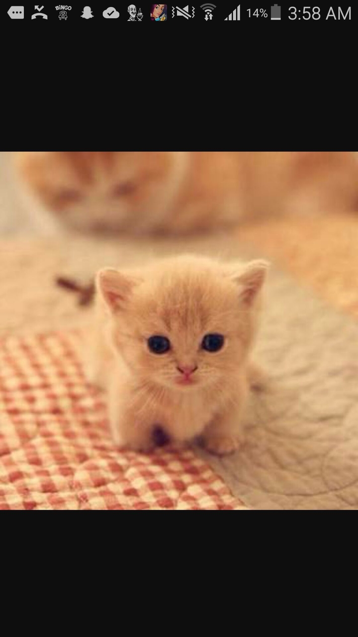 tiny