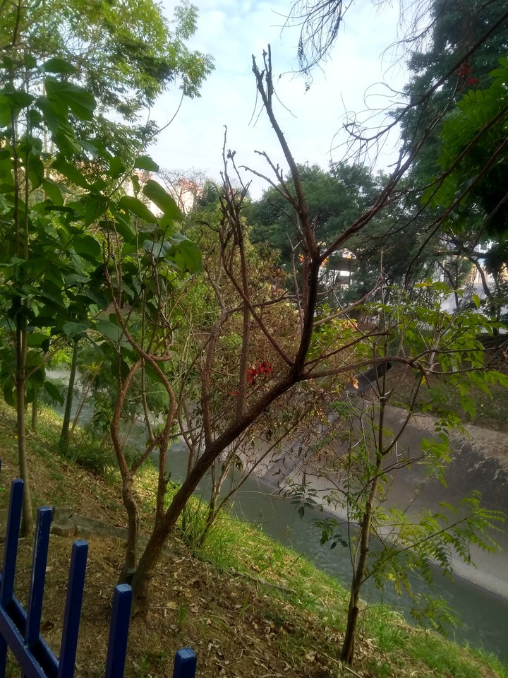 Inverno